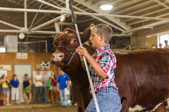 Photograph of Rock County 4-H Fair Taken 7-26-12