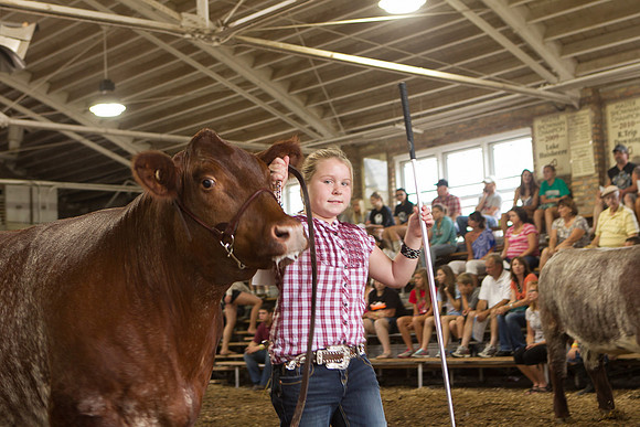 Photograph of Rock County 4-H Fair Taken 7-26-12