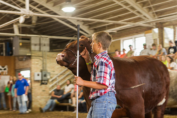 Photograph of Rock County 4-H Fair Taken 7-26-12