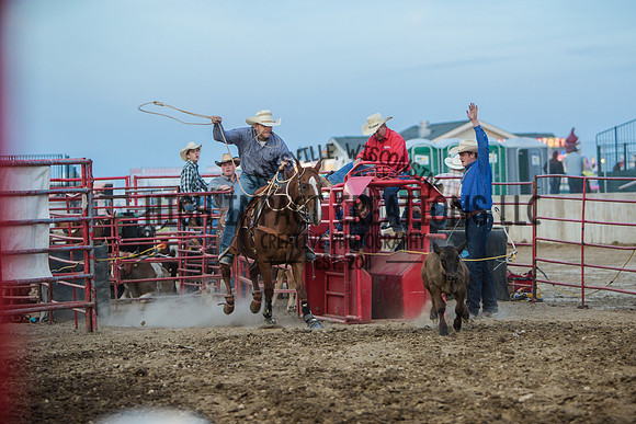 Big Hat Rodeo | Grayslake Rodeo | Lake County Fair