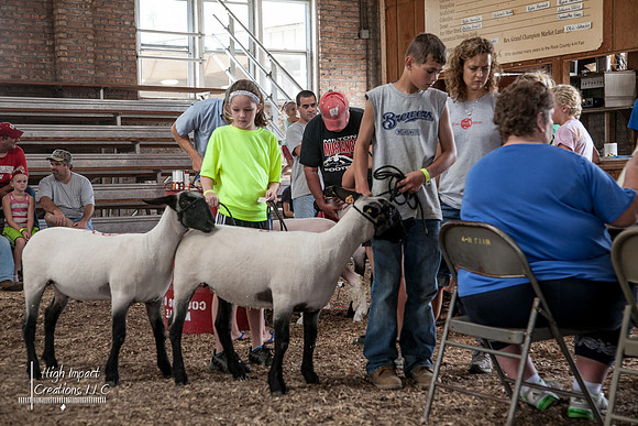 Janesville Photographers Rock County 4-H Fair Photographs