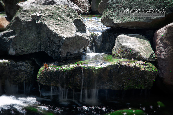 Picture a Day #102, 5-08-13