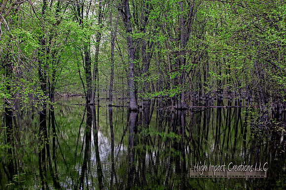 Picture a Day #103, 5-09-13