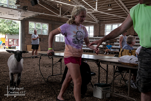 Janesville Photographers Rock County 4-H Fair Photographs