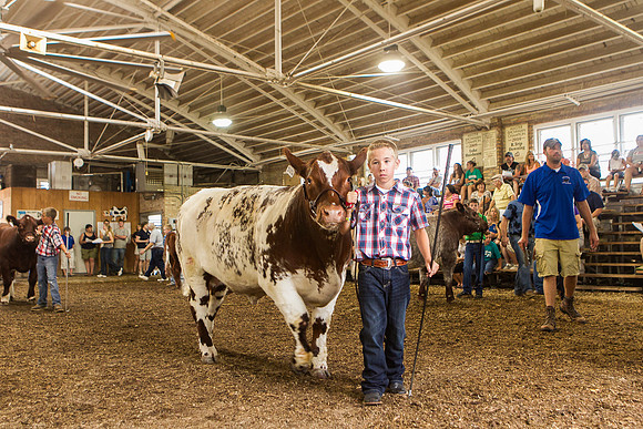 Photograph of Rock County 4-H Fair Taken 7-26-12