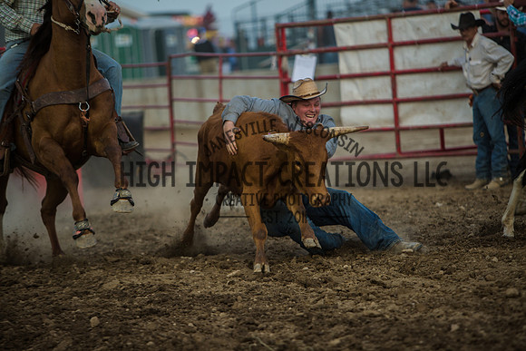 Big Hat Rodeo | Grayslake Rodeo | Lake County Fair
