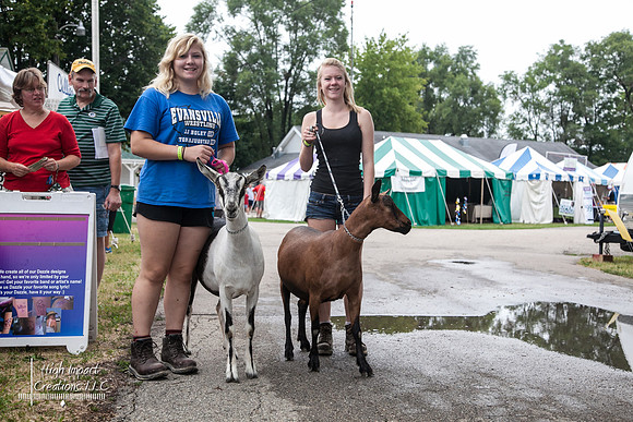 Janesville Photographers Rock County 4-H Fair Photographs