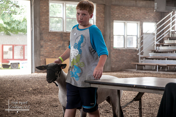 Janesville Photographers Rock County 4-H Fair Photographs