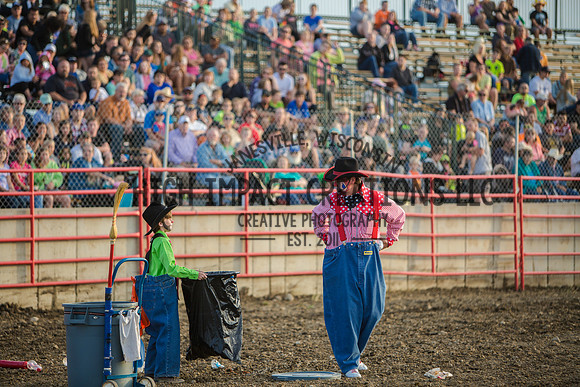 Big Hat Rodeo | Grayslake Rodeo | Lake County Fair
