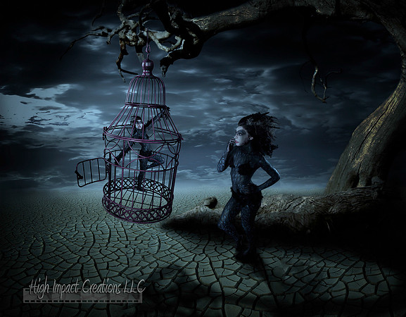 Trapped in a Cage | Janesville Portrait Art