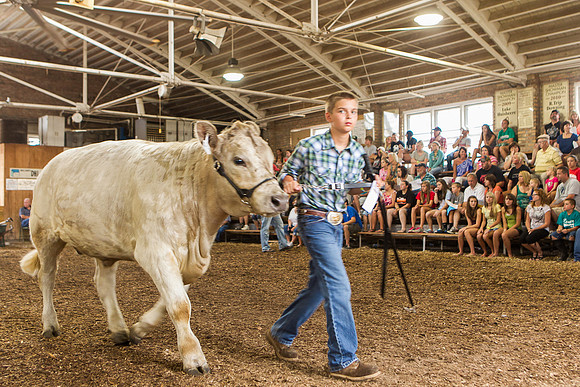 Photograph of Rock County 4-H Fair Taken 7-26-12