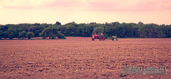 Picture a Day #134, 6-09-13 | Janesville Photographer