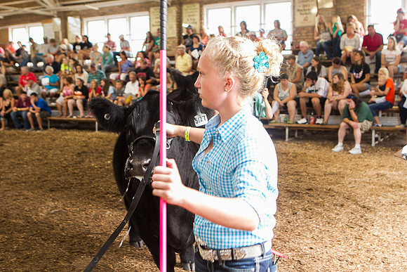 Photograph of Rock County 4-H Fair Taken 7-26-12