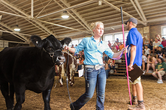 Photograph of Rock County 4-H Fair Taken 7-26-12