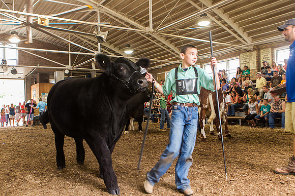 Photograph of Rock County 4-H Fair Taken 7-26-12