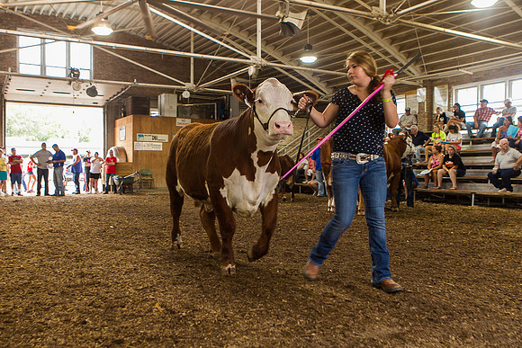 Photograph of Rock County 4-H Fair Taken 7-26-12