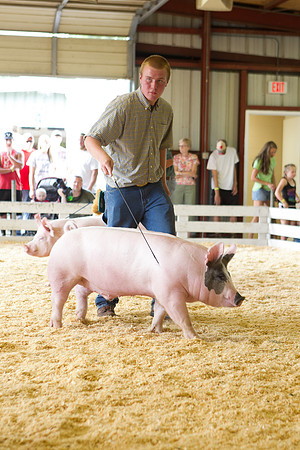 Janesville Photographers Rock County 4-H Fair Photographs
