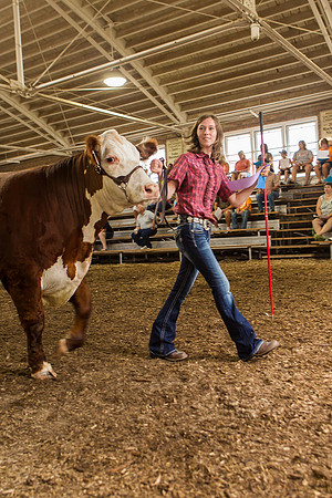 Photograph of Rock County 4-H Fair Taken 7-26-12