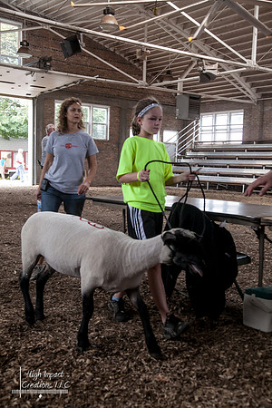 Janesville Photographers Rock County 4-H Fair Photographs