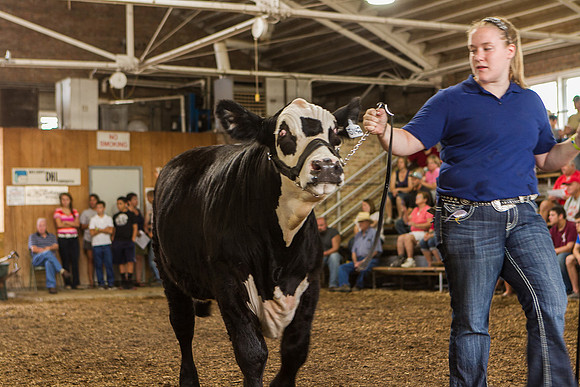 Photograph of Rock County 4-H Fair Taken 7-26-12