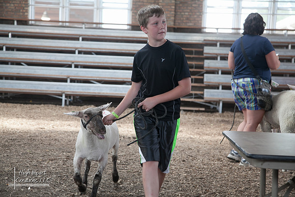 Janesville Photographers Rock County 4-H Fair Photographs