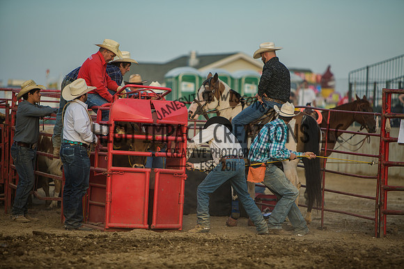Big Hat Rodeo | Grayslake Rodeo | Lake County Fair
