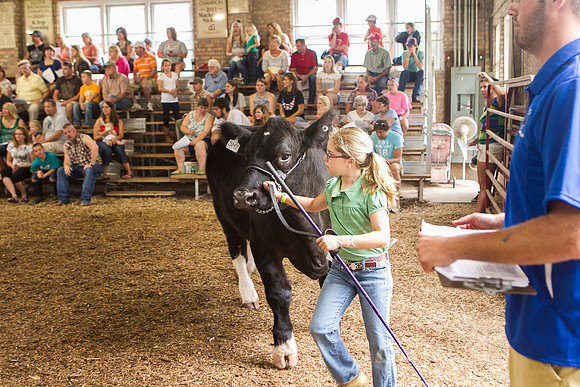Photograph of Rock County 4-H Fair Taken 7-26-12