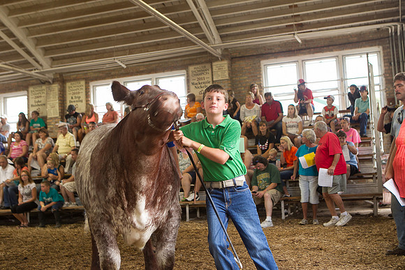 Photograph of Rock County 4-H Fair Taken 7-26-12