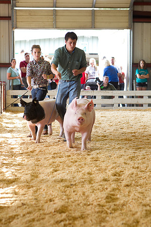 Janesville Photographers Rock County 4-H Fair Photographs