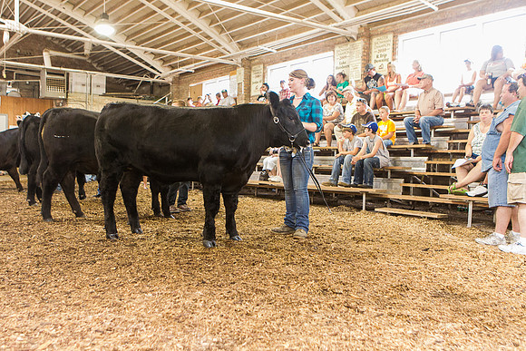 Photograph of Rock County 4-H Fair Taken 7-26-12