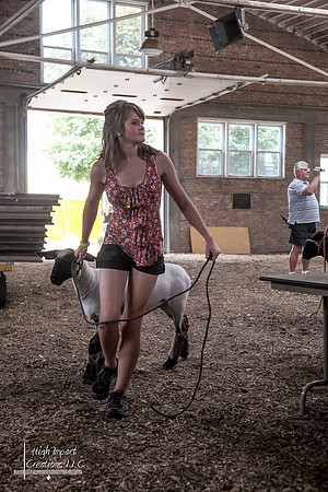 Janesville Photographers Rock County 4-H Fair Photographs