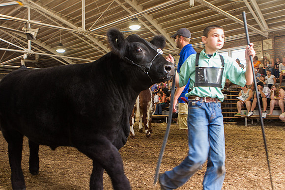 Photograph of Rock County 4-H Fair Taken 7-26-12