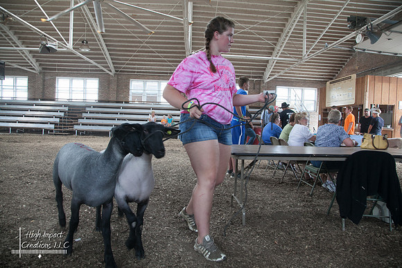 Janesville Photographers Rock County 4-H Fair Photographs