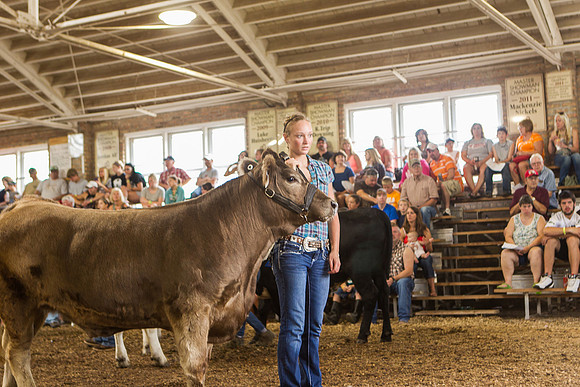 Photograph of Rock County 4-H Fair Taken 7-26-12
