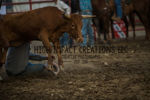 Big Hat Rodeo | Grayslake Rodeo | Lake County Fair