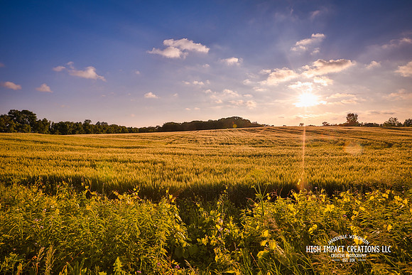 Picture a Day #136, 6-11-14 | Janesville Photographer