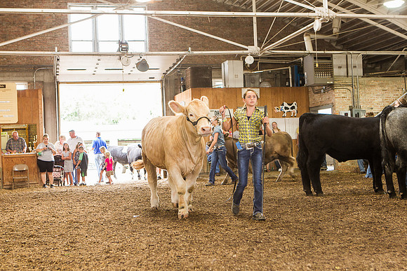 Photograph of Rock County 4-H Fair Taken 7-26-12