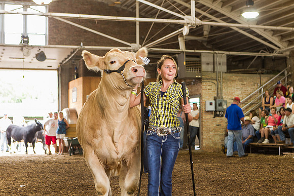 Photograph of Rock County 4-H Fair Taken 7-26-12