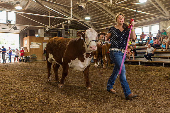 Photograph of Rock County 4-H Fair Taken 7-26-12