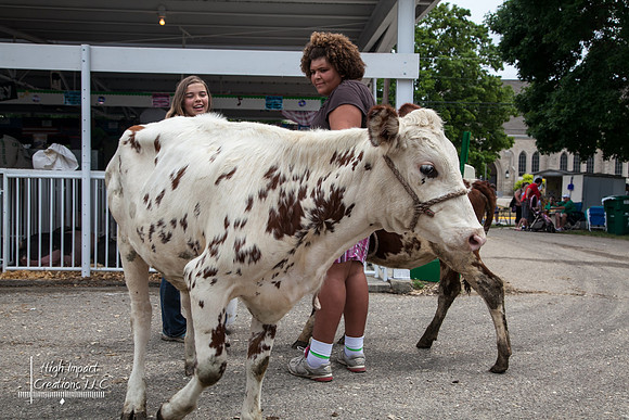 Janesville Photographers Rock County 4-H Fair Photographs