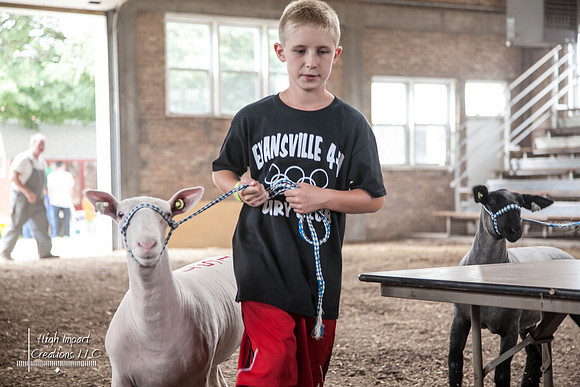 Janesville Photographers Rock County 4-H Fair Photographs