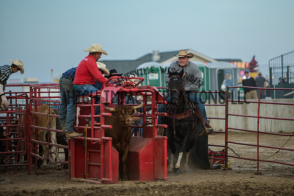 Big Hat Rodeo | Grayslake Rodeo | Lake County Fair