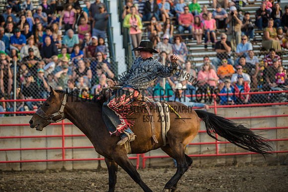 Big Hat Rodeo | Grayslake Rodeo | Lake County Fair