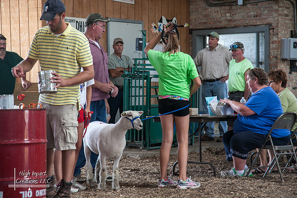 Janesville Photographers Rock County 4-H Fair Photographs