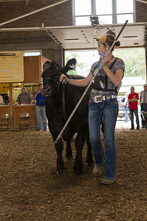 Photograph of Rock County 4-H Fair Taken 7-26-12