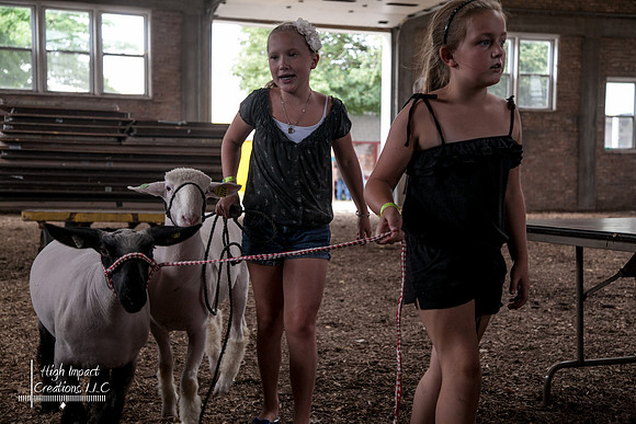 Janesville Photographers Rock County 4-H Fair Photographs
