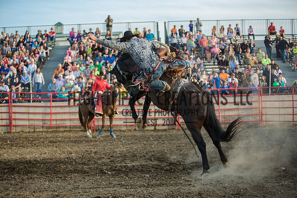 Big Hat Rodeo | Grayslake Rodeo | Lake County Fair