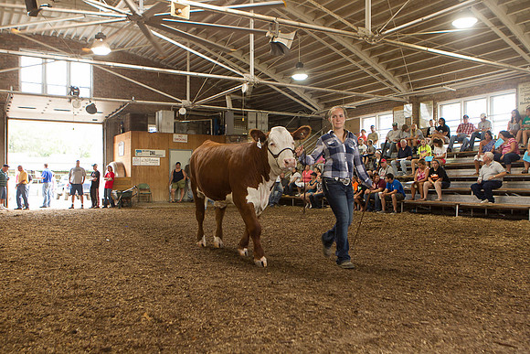 Photograph of Rock County 4-H Fair Taken 7-26-12