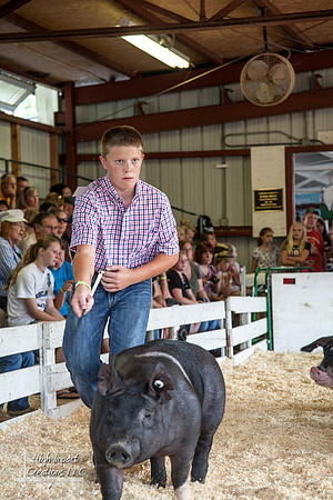 Janesville Photographers Rock County 4-H Fair Photographs