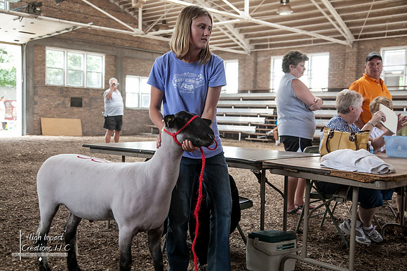 Janesville Photographers Rock County 4-H Fair Photographs